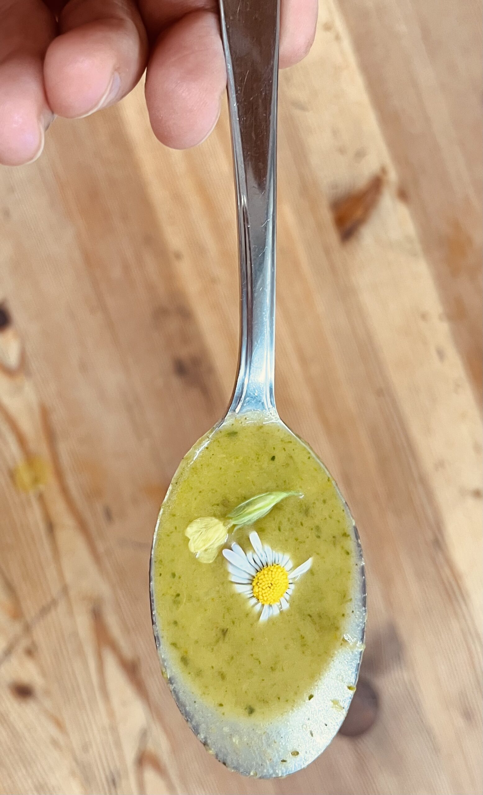 9 Kräutersuppe (Gründonnerstag Suppe) | Lillys Herbar &amp; Kulinarik